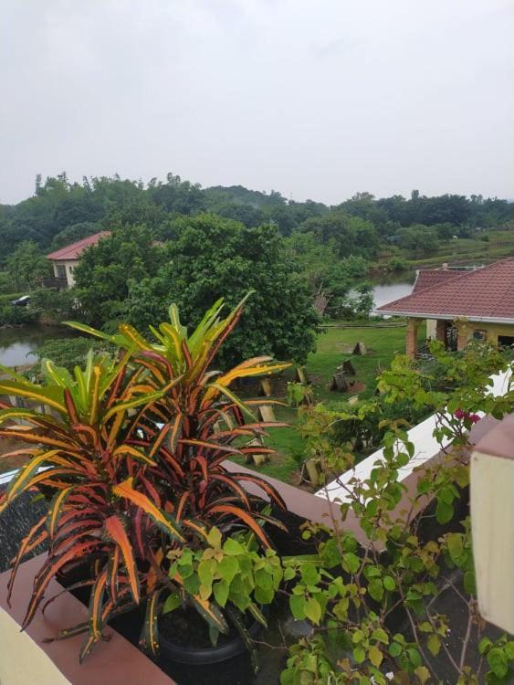 Casa De Flores Alaminos Buitenkant foto