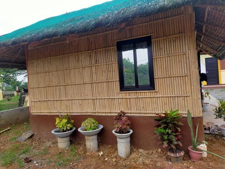 Casa De Flores Alaminos Buitenkant foto