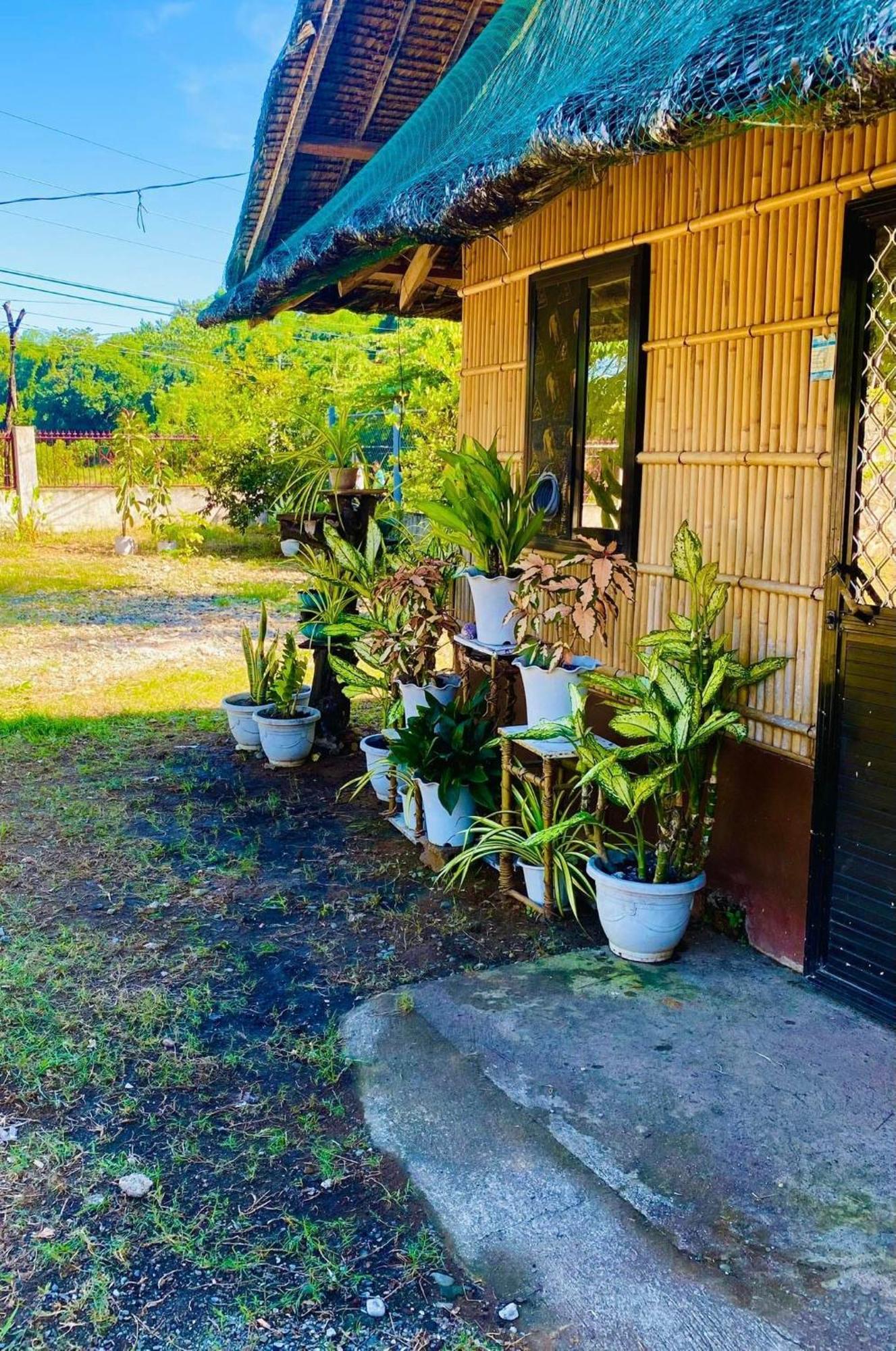 Casa De Flores Alaminos Buitenkant foto